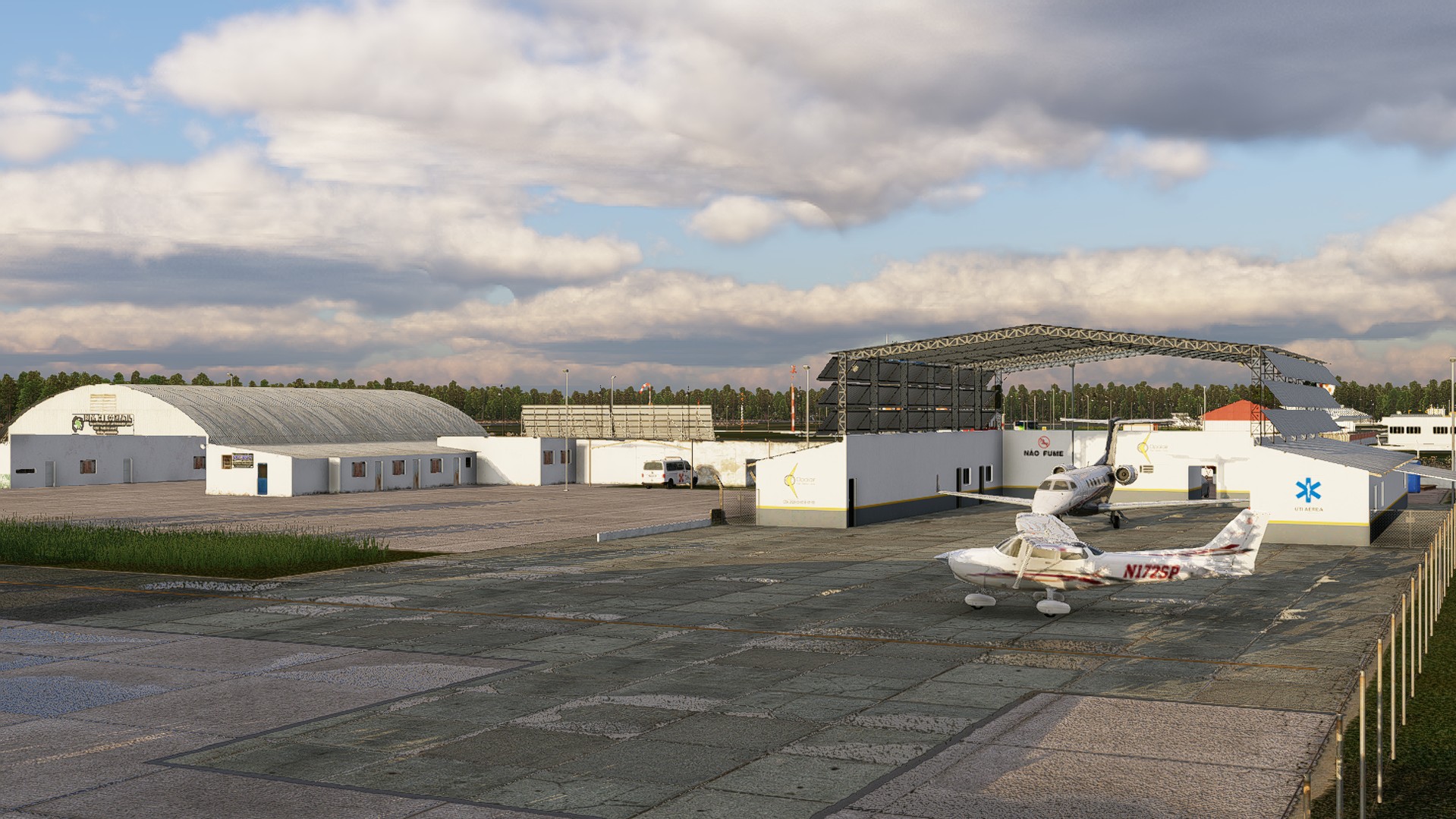 Hand-placed tropical vegetation around the runway